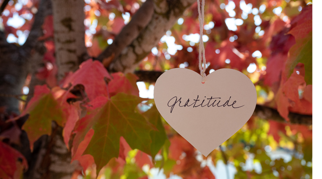 6 Ways to Incorporate Gratitude into Your Everyday Life
